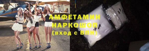 шишки Заводоуковск