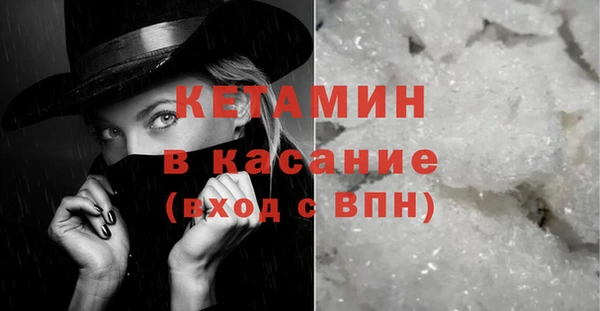 шишки Заводоуковск