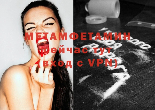 шишки Заводоуковск