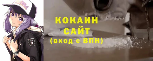 шишки Заводоуковск