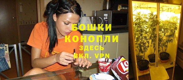 амф Заволжск
