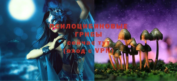 шишки Заводоуковск