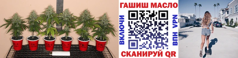 Дистиллят ТГК гашишное масло  Купить закладки  Усть-Катав 