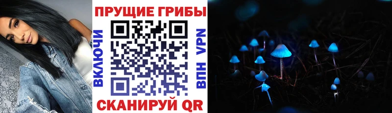 Псилоцибиновые грибы Magic Shrooms  Купить закладки  Усть-Катав 